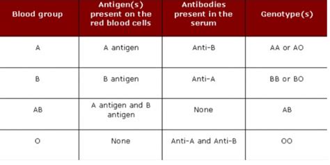 10+ Abo Rh Blood Secrets For Better Health