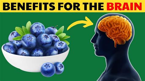 10 Blueberries Good For Brain Health