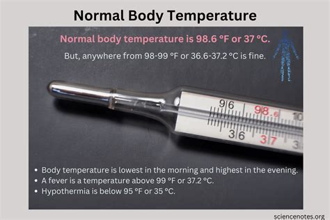 10 Body Temperature Facts For Better Health