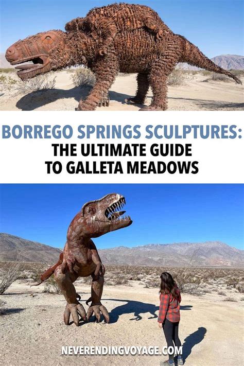 10+ Borrego Springs Tips For Ultimate Relaxation
