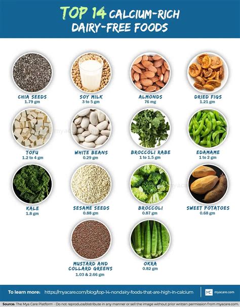 10 Calcium Rich Foods Non Dairy For Stronger Bones