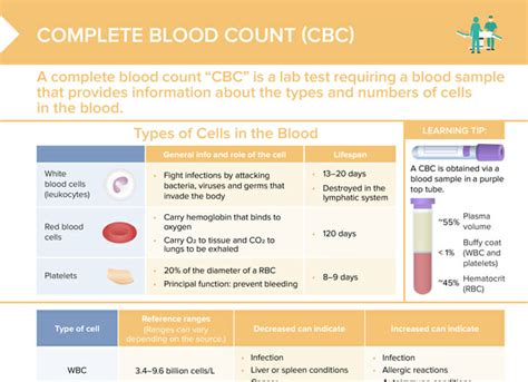 10+ Cbc Definition Secrets Every Doctor Should Know