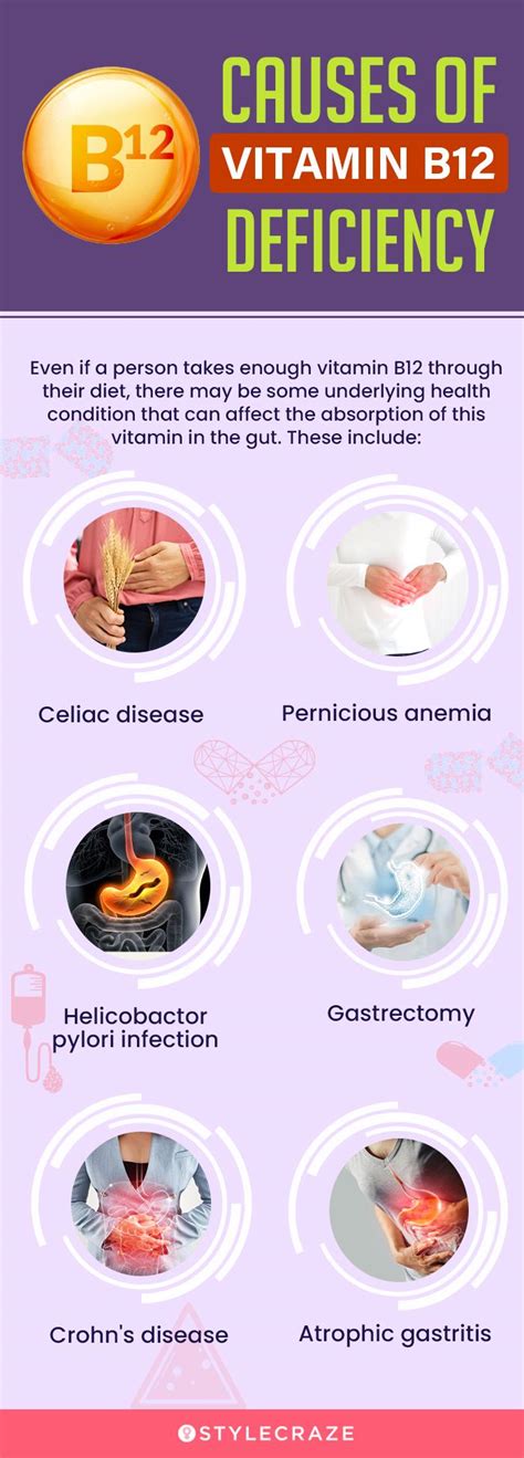 10+ Elevated B12 Reasons Explained