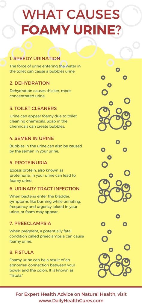 10 Foamy Urine Causes Revealed