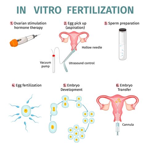 10+ In Vitro Fertilization Discounts Found