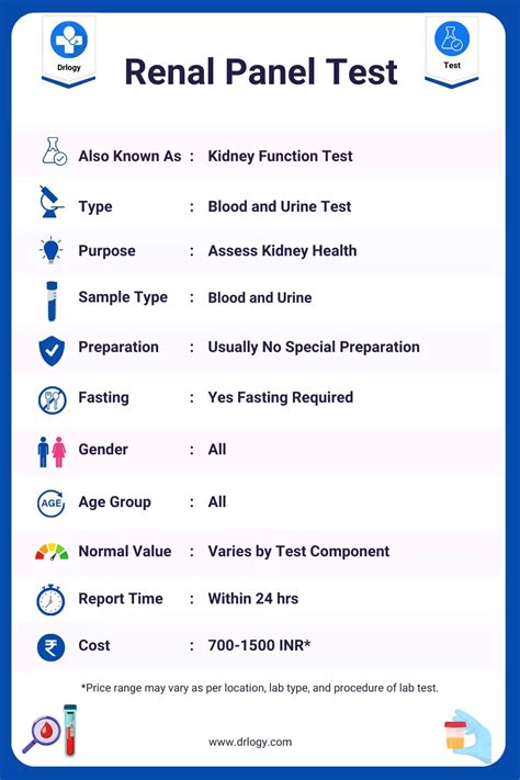 10 Kidney Function Panel Tests For Better Health