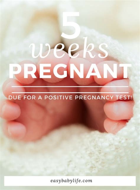 10 Pregnancy Tips At 5 Weeks