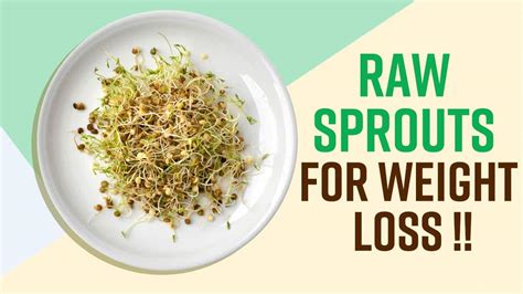 10+ Raw Milk Sprouts Tips For Improved Nutrition
