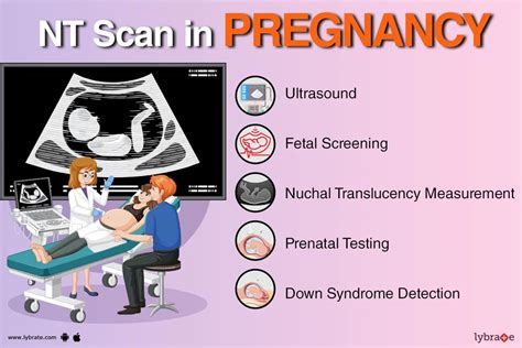 10+ Usg Nt Scan Secrets For Healthy Pregnancy