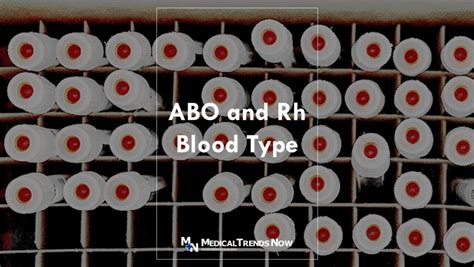 12 Abo Rh Blood Facts To Know Your Type