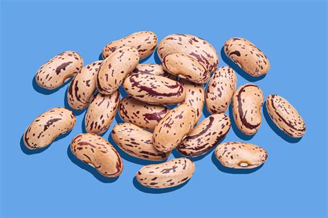 12 Beans Fruit Facts To Know