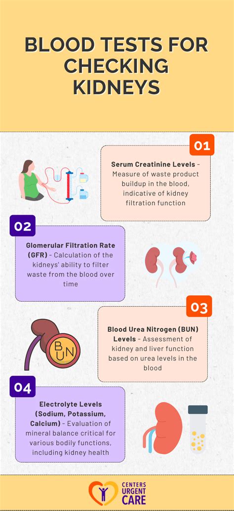12+ Blood Test Secrets To Manage Kidney Health
