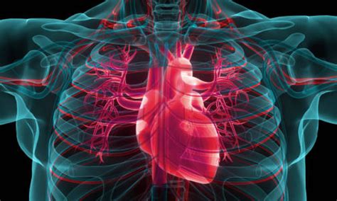 12 Cardiac Ct Scan Tips For Better Diagnosis