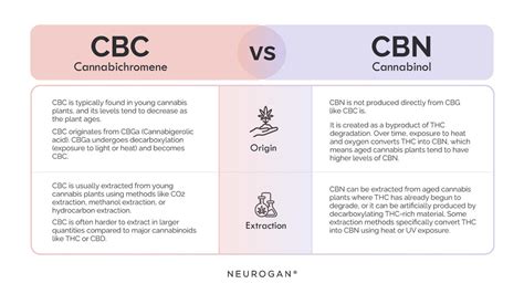 12+ Cbc Benefits For Better Diagnosis