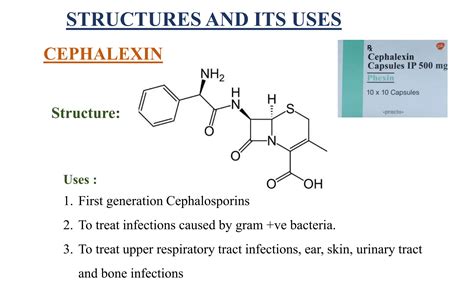 12 Cephalexin Uses To Treat Infections