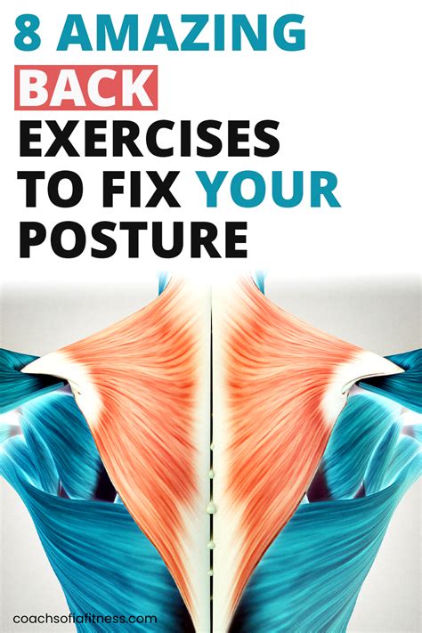12+ Exercises To Fix Poor Posture