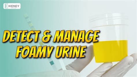 12+ Foamy Urine Symptoms Explained
