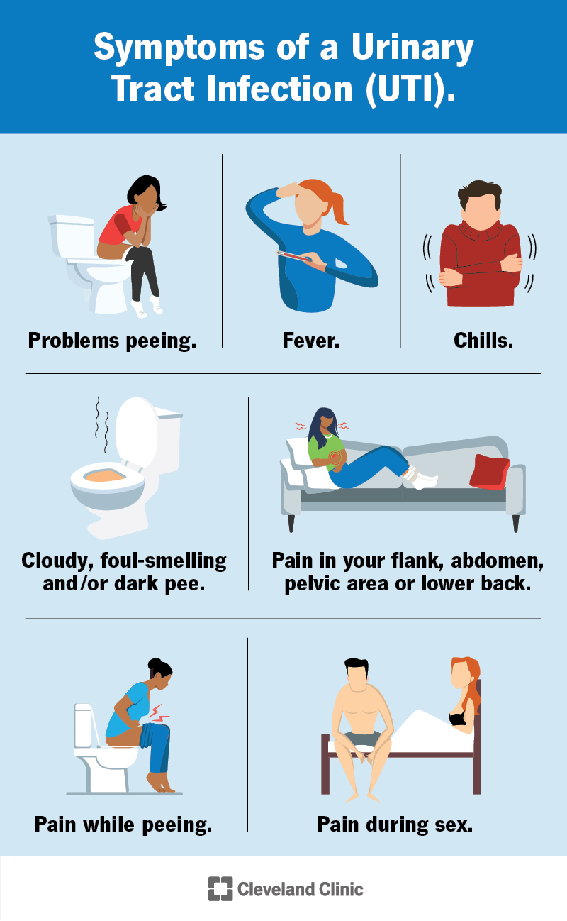 12 Home Remedies For Uti Urinary Tract Infection Dr Axe 12 Home Remedies For Uti Urinary Tract Infection Dr Axe
