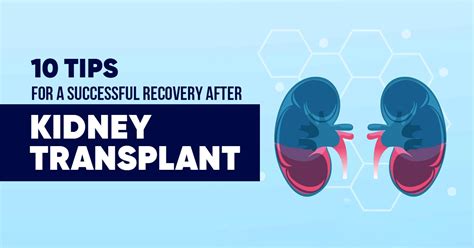 12 Kidney Transplant Tips For Faster Recovery