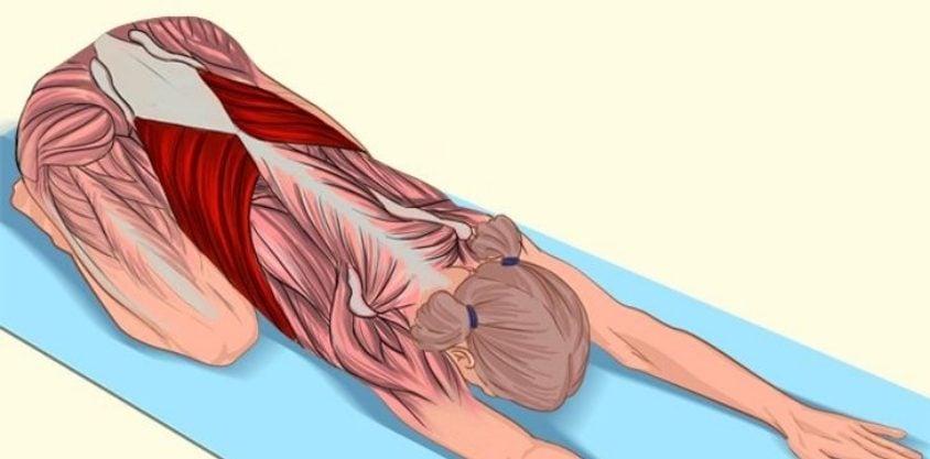 12+ Middle Back Stretches For Instant Ease