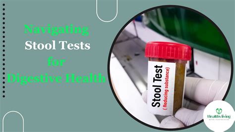 12 Stool Exam Tips For Accurate Results