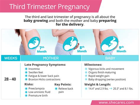 12 Third Trimester Tips For A Healthy Birth