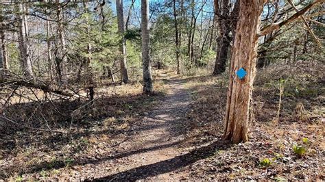 12+ Walnut Creek Park Va Trails To Discover