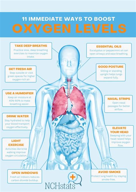 12+ Ways To Boost Oxygen Levels