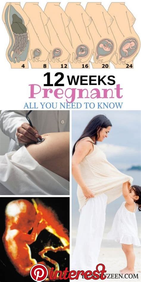 12 Weeks Pregnancy Tips For A Healthy Baby