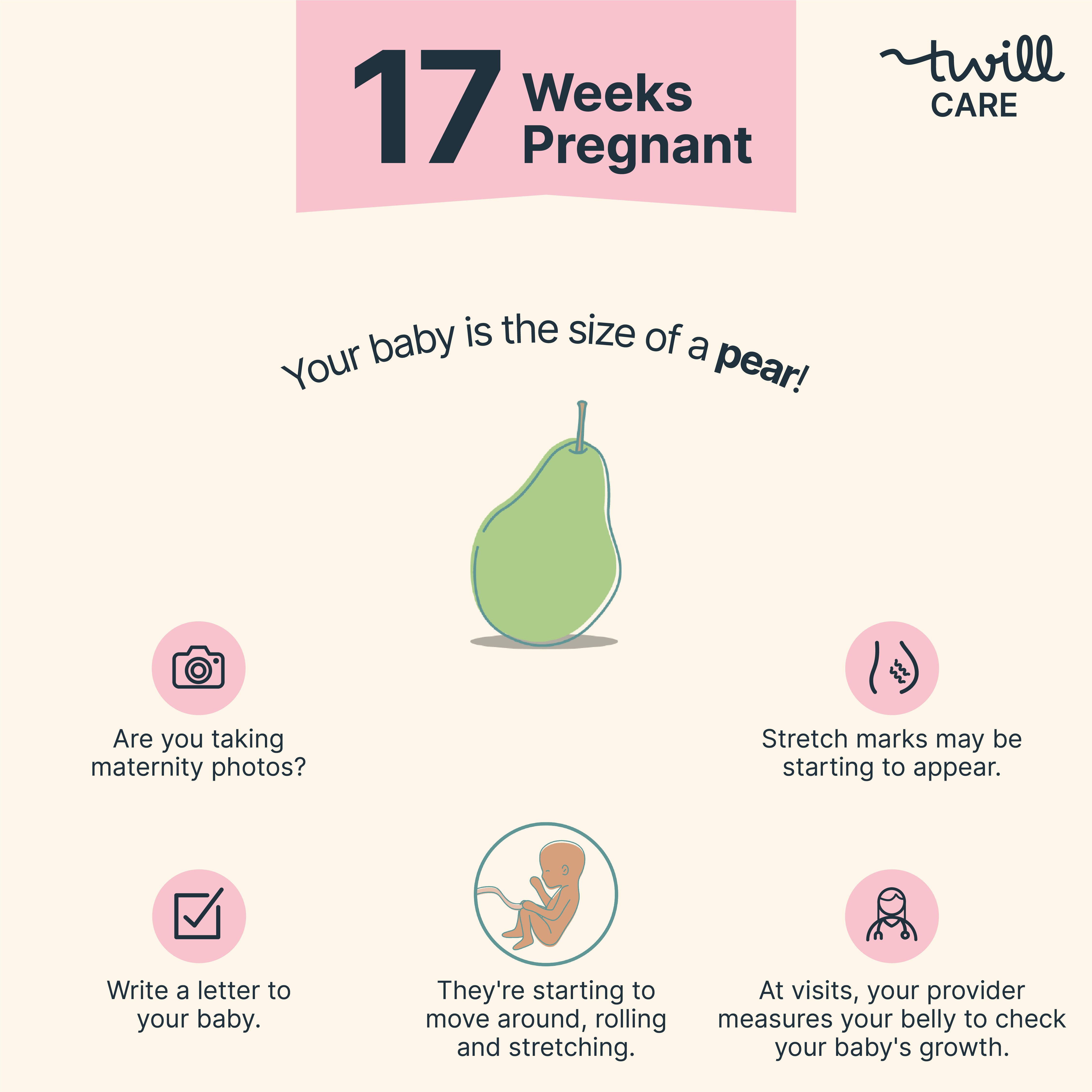17 Weeks Pregnant