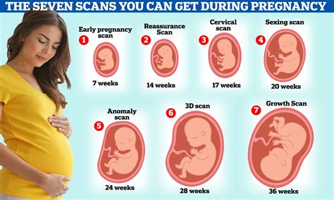 28 Week Baby: Know What To Expect