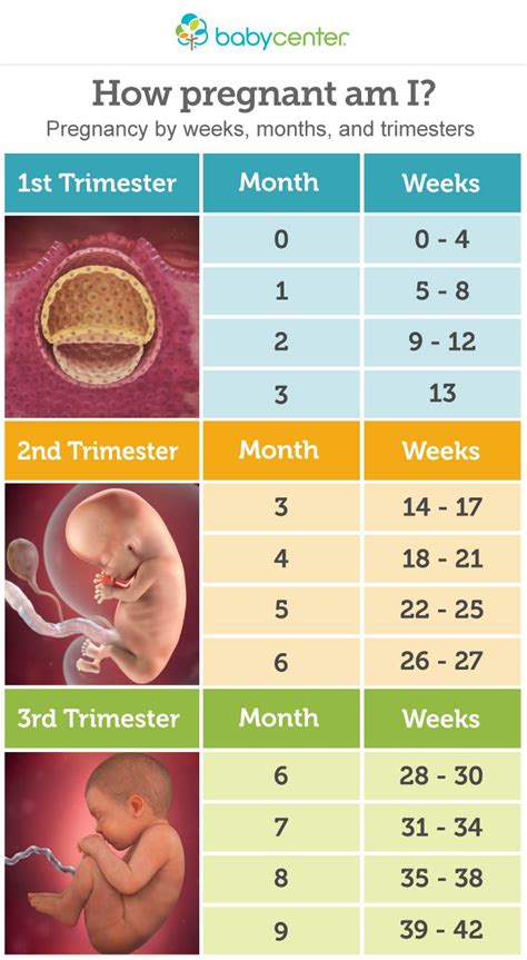 28 Weeks Gestation Guide: Healthy Pregnancy