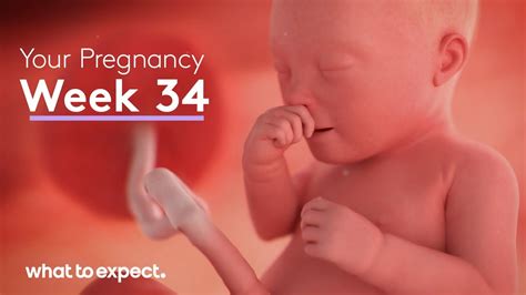 34 Week Fetus: Know Your Baby's Progress