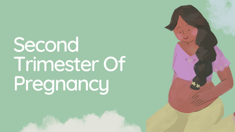 3Rd Trimester Guide: Pregnancy Explained