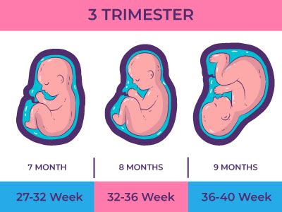3Rd Trimester Start: Your 28Week Plan