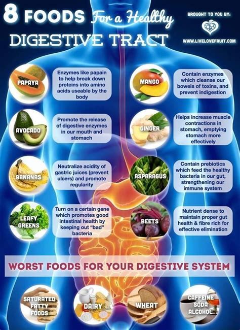 8 Dicyclomine Benefits For Healthy Digestion