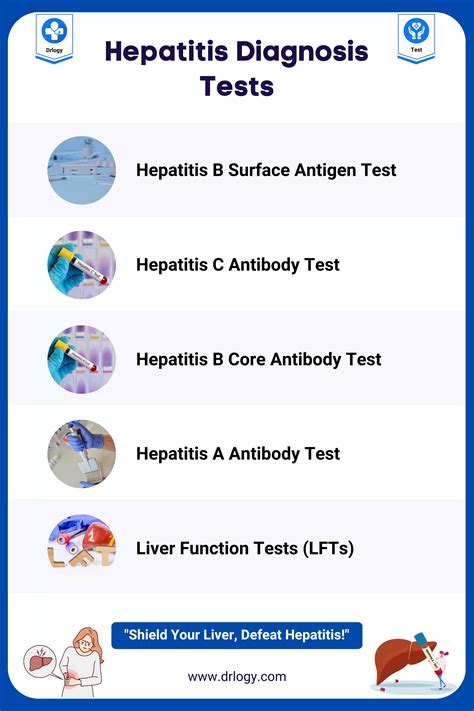 8 Hepatitis A Antibody Tests For Accurate Diagnosis