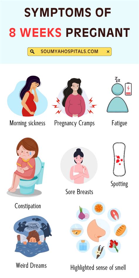 8 Weeks Pregnant: Know Your Baby's Development