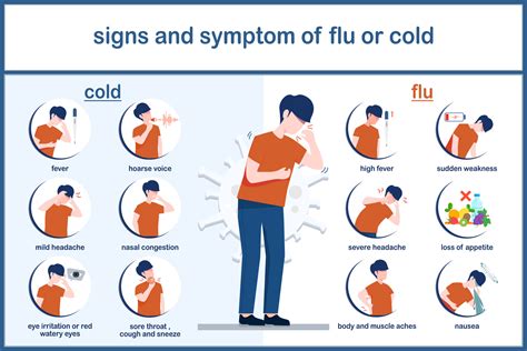 A Cold Or The Flu
