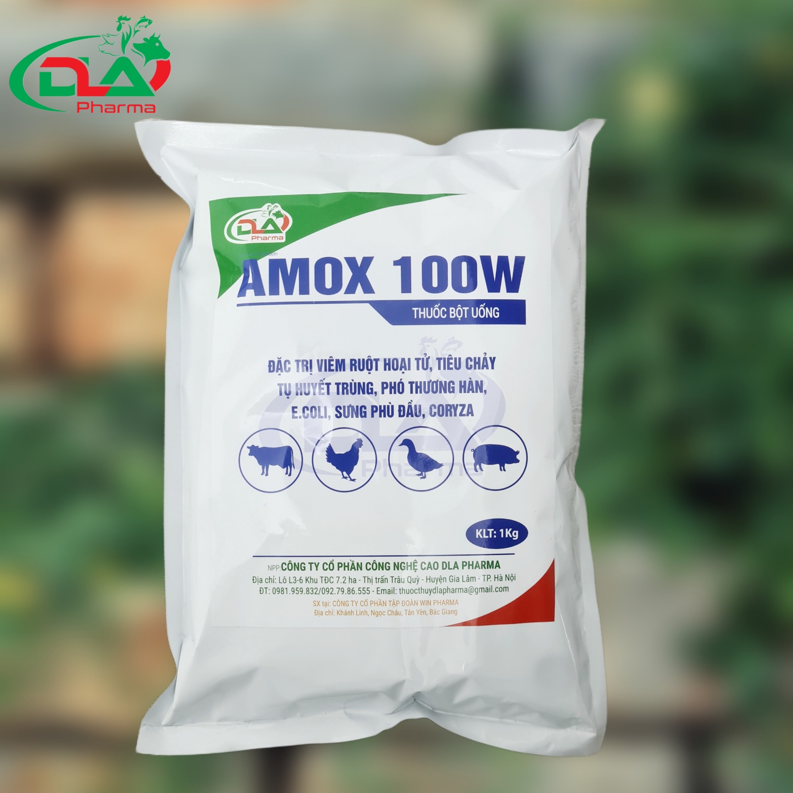 Amox Clav 500 125