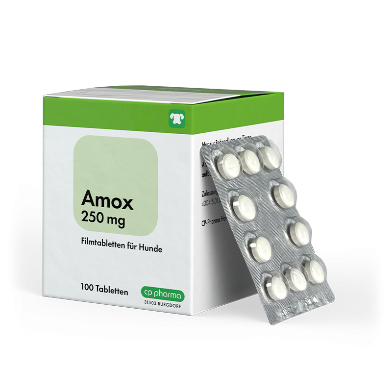 Amox Clav 500