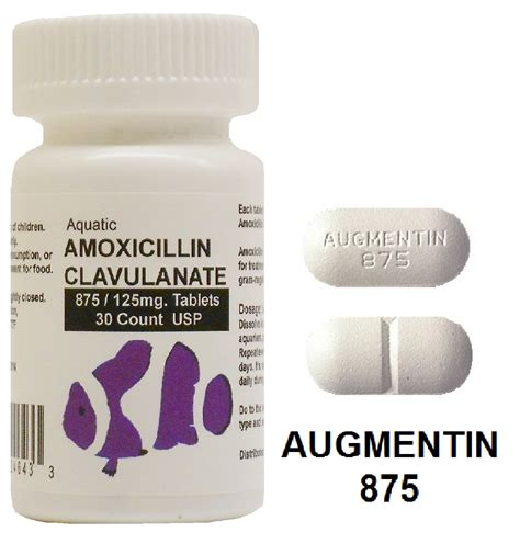 Amox/K Clav 875125: Effective Bacterial Infection Treatment