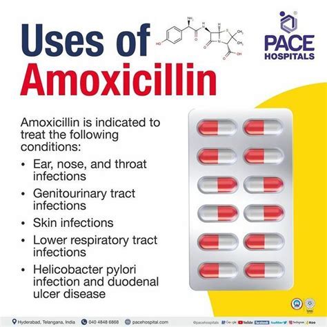 Amoxicillin Clavulanate 875: Effective Dosage Explained