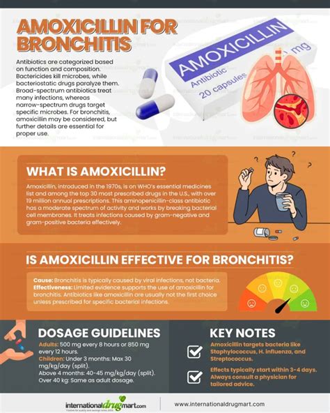 Amoxicillin For Bronchitis