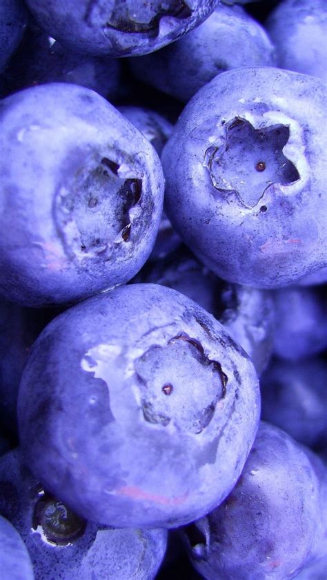 Are Blueberries Purple