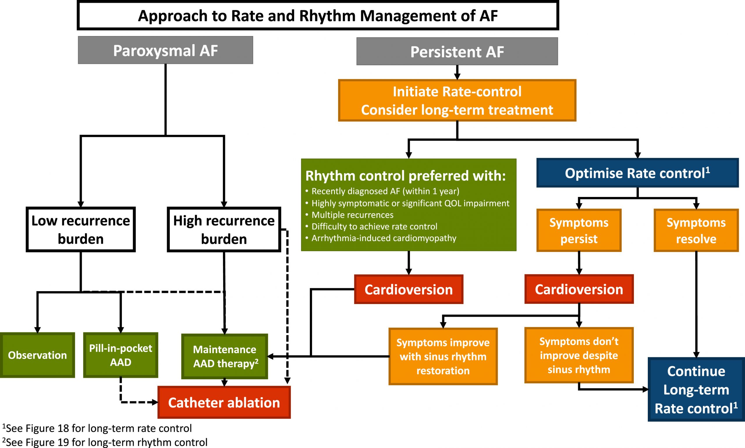 Atrial Fibrillation Cardioversion