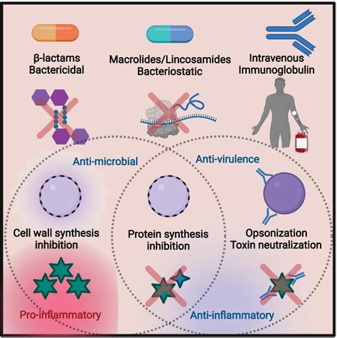 Augmentin Is Antibiotic: Effective Bacterial Infection Treatment