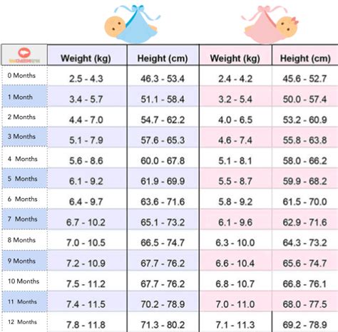 Average Weight Of A Newborn