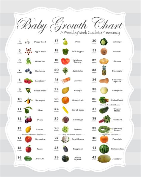 Baby Size By Week