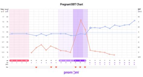 Bbt Chart Guide: Get Pregnant Faster
